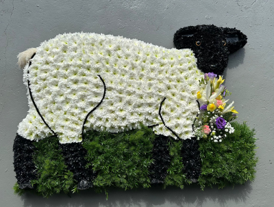 roses bedlington