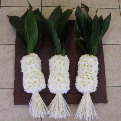 Leeks - 