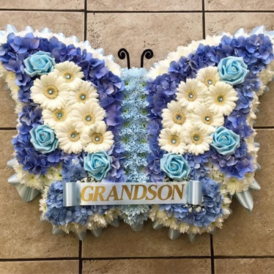 Butterfly - 