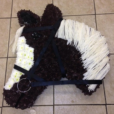 Horses Head - 
